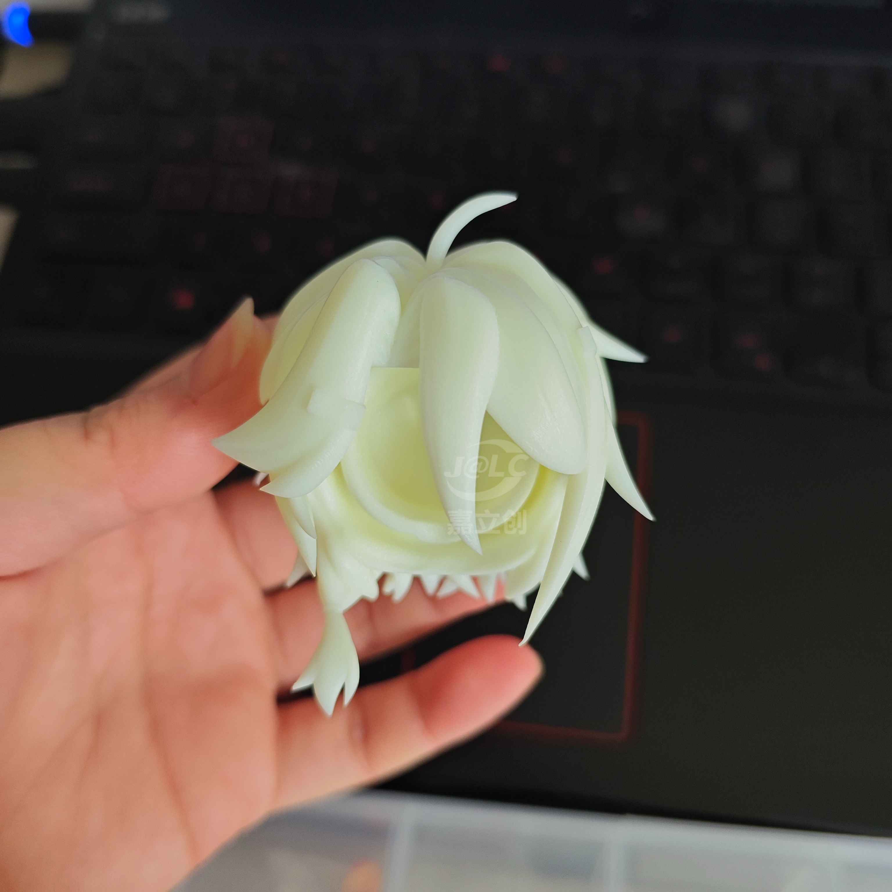 嘉立创晒单图片