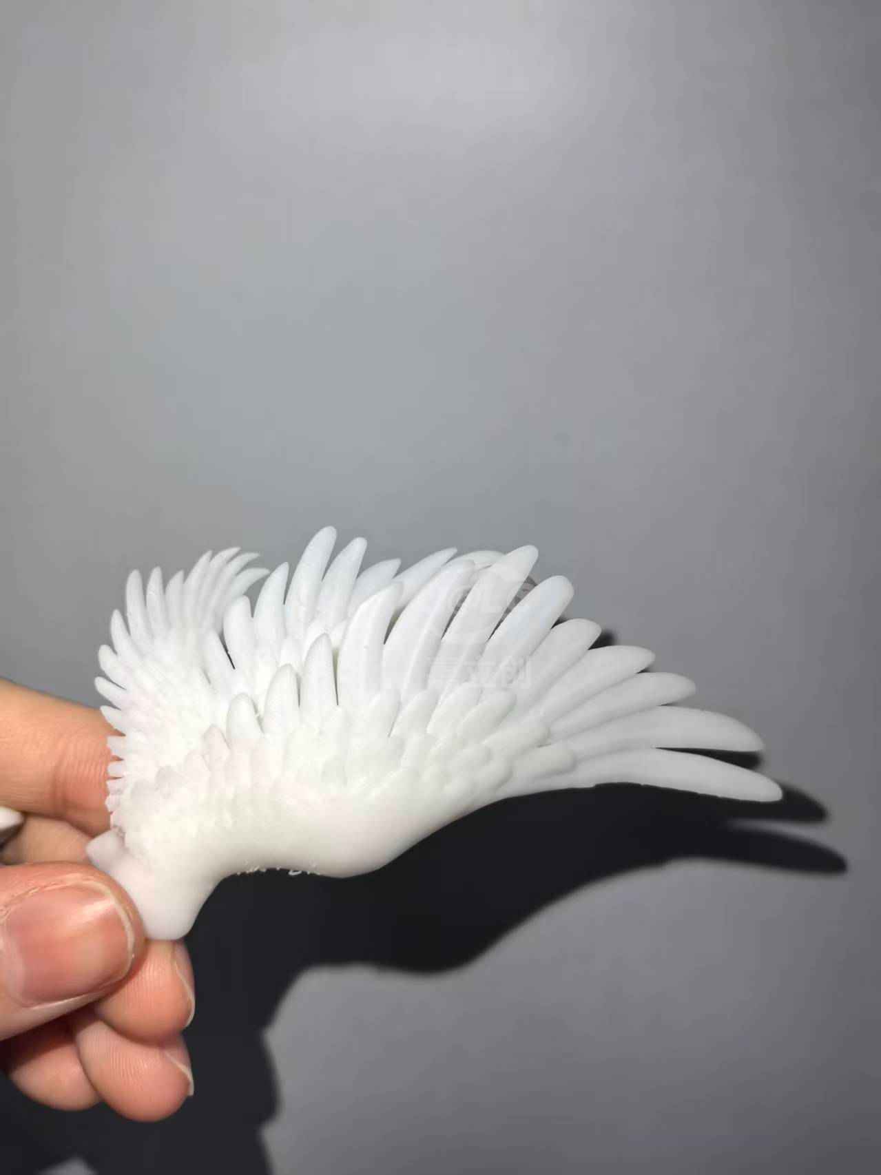 嘉立创晒单图片